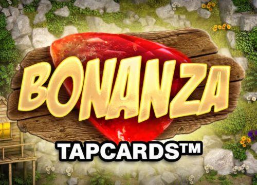 Esimerkki kasinopelistä Bonanza-teemalla